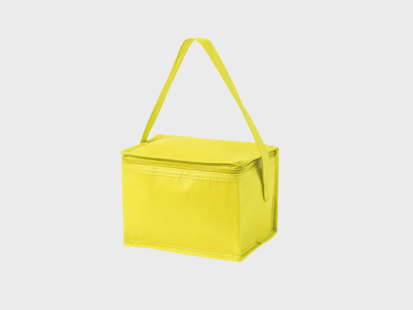 Cooler bag non-woven