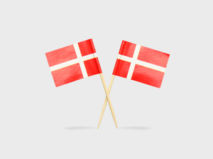 Papirflag med eget tryk