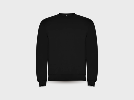 Terra sweater med tryk