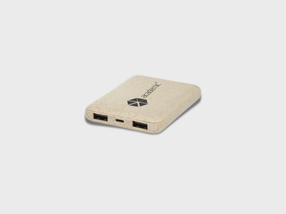Power bank with logo