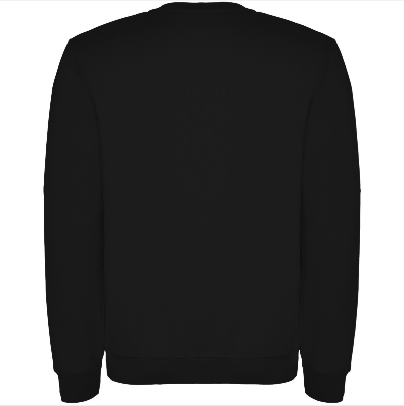 Terra sweater med tryk